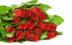 Desktop image. Flowers. ID:52896