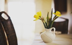 Desktop image. Flowers. ID:54382