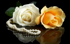 Desktop image. Flowers. ID:55813