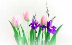 Desktop image. Flowers. ID:56228