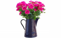 Desktop image. Flowers. ID:56782