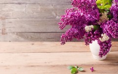 Desktop image. Flowers. ID:56830