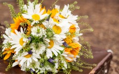 Desktop image. Flowers. ID:56876