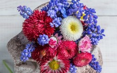 Desktop image. Flowers. ID:62144