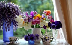 Desktop image. Flowers. ID:62178