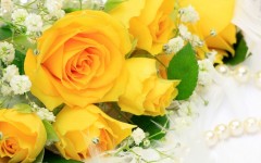 Desktop image. Flowers. ID:62207