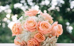 Desktop image. Flowers. ID:62467