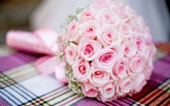 Desktop image. Flowers. ID:62978