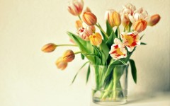 Desktop image. Flowers. ID:63390