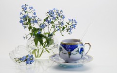 Desktop image. Flowers. ID:68428