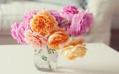 Desktop image. Flowers. ID:68526