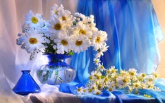 Desktop image. Flowers. ID:68530