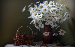 Desktop image. Flowers. ID:68547
