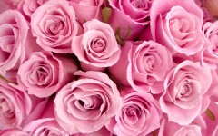 Desktop image. Flowers. ID:68573