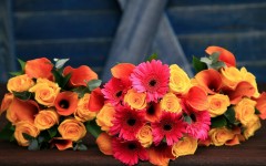 Desktop image. Flowers. ID:68596