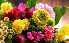 Desktop image. Flowers. ID:68625