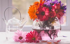 Desktop image. Flowers. ID:68630