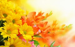 Desktop image. Flowers. ID:80309