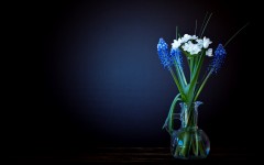 Desktop image. Flowers. ID:80339