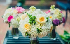 Desktop image. Flowers. ID:80385