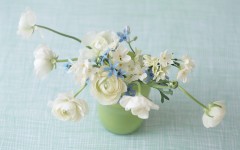 Desktop image. Flowers. ID:82548
