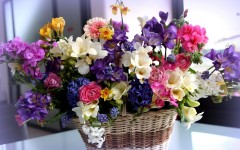 Desktop image. Flowers. ID:86208