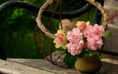 Desktop image. Flowers. ID:86472