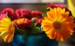 Desktop image. Flowers. ID:86633