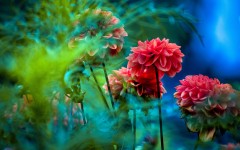 Desktop image. Flowers. ID:88969