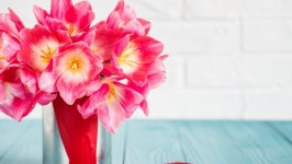 Desktop image. Flowers. ID:94903
