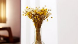 Desktop image. Flowers. ID:95368