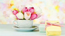 Desktop image. Flowers. ID:96532