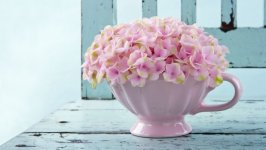 Desktop image. Flowers. ID:98702