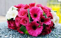 Desktop image. Flowers. ID:99426