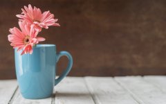 Desktop image. Flowers. ID:99483