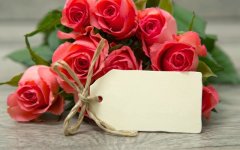 Desktop image. Flowers. ID:99756