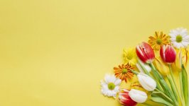 Desktop image. Flowers. ID:99957