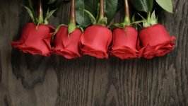 Desktop image. Flowers. ID:100301