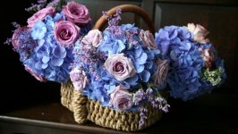 Desktop image. Flowers. ID:100652