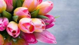 Desktop image. Flowers. ID:101847