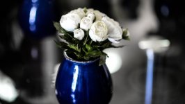 Desktop image. Flowers. ID:102024