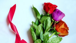 Desktop image. Flowers. ID:132985