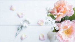 Desktop image. Flowers. ID:102447