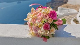 Desktop image. Flowers. ID:102897