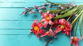Desktop image. Flowers. ID:104057