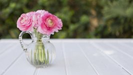 Desktop image. Flowers. ID:104327