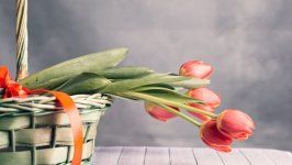 Desktop image. Flowers. ID:104863