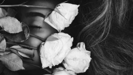 Desktop image. Flowers. ID:105289