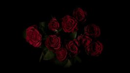 Desktop image. Flowers. ID:106178