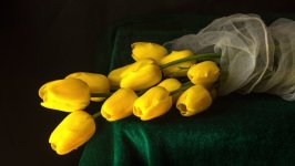 Desktop image. Flowers. ID:106282